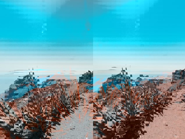 Miltiadis Fragkidis